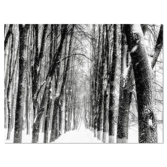 Designart - Snowy Forest Black and White